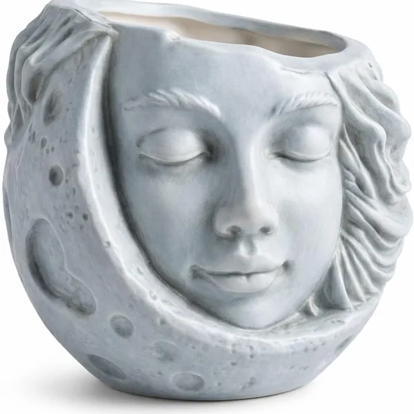 Moon Face Hanging Planter