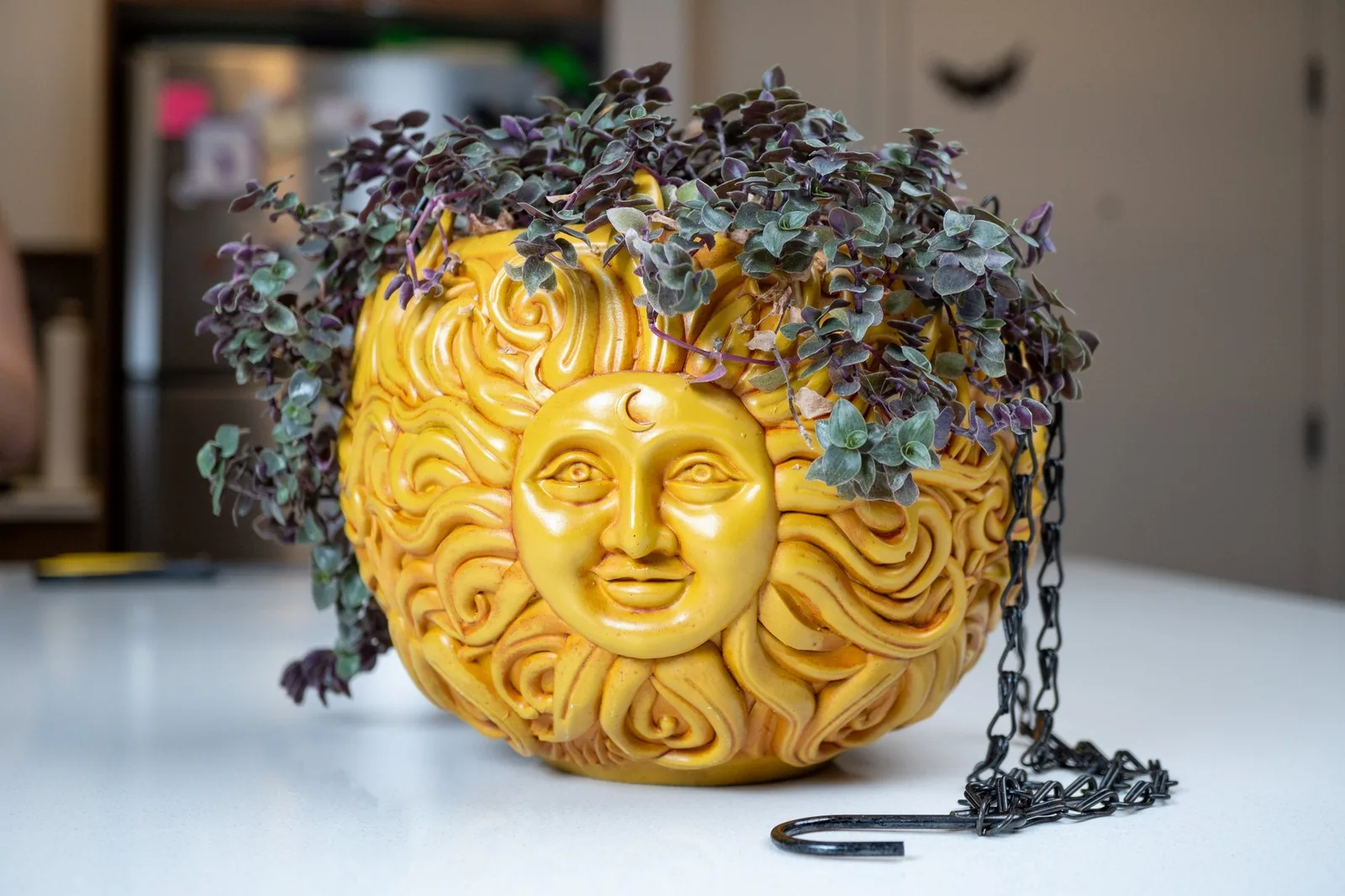The Celestial Pair — Sun & Moon Hanging Planter Bundle