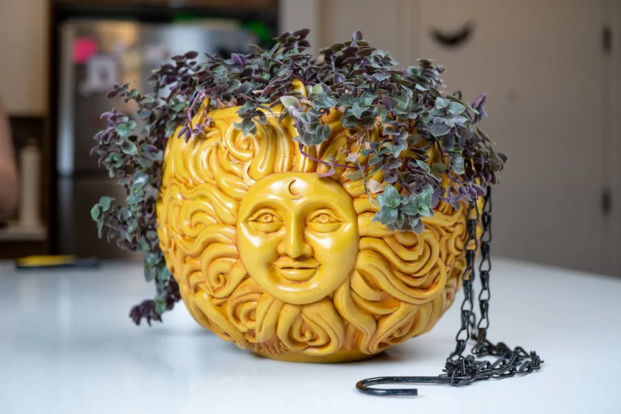 Planted with a trailing plant